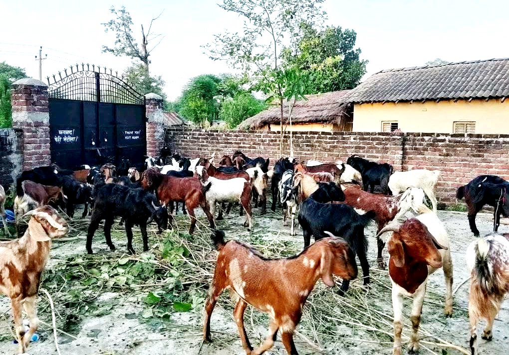 Krishnaar FM